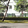 Perspective 1